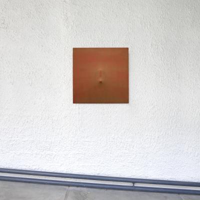 Mouffelecorbusier Alascinco Antonio Colom Fe