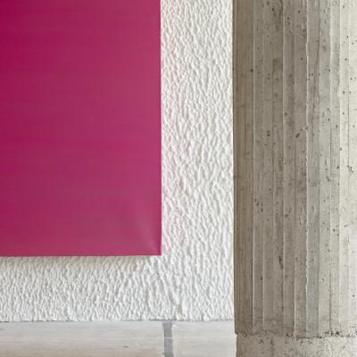 Mouffelecorbusier Sallecouturier Intotheveil 1